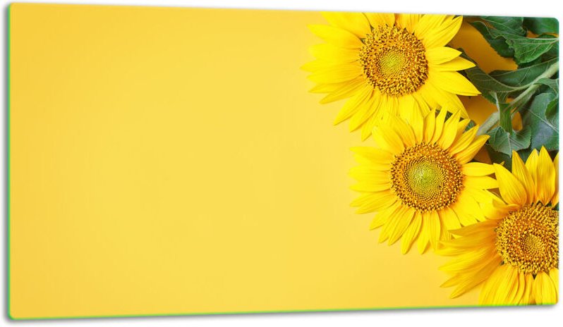 Glasschild Schneidebrett 52x30 Blumen