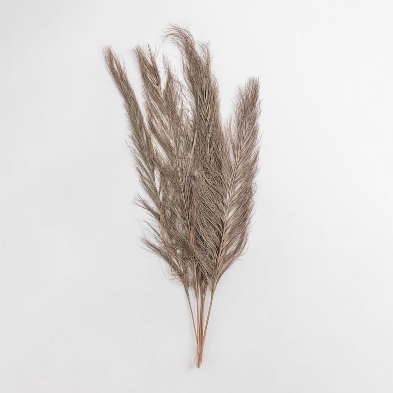 Sklum - Packung mit 6 Nereiden Dekorative Trockenzweige Braun Weizen