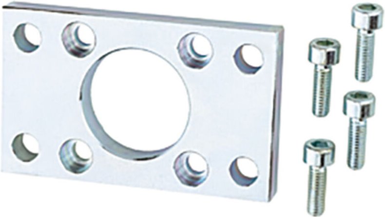 Front- oder Bodenflansch, iso 15552, iso 21287, Kolben-Ø 80 - Riegler