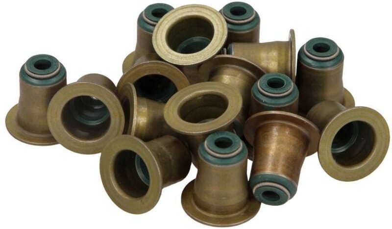 Victor Reinz Bmw Ventilschaftdichtungssatz