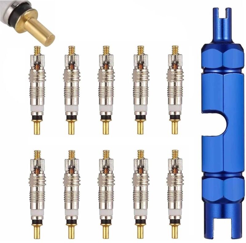 11 Stück Fahrradventil Adapter Französisches Ventil Sclaverandventil Ersatz für Presta Ventileinsatz Ventilkappen Fahrra...
