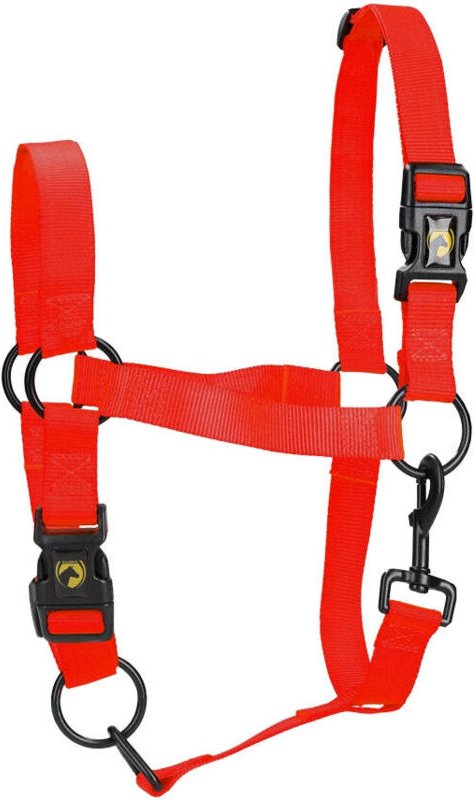 Excellent horse essential halter s fohlen rot