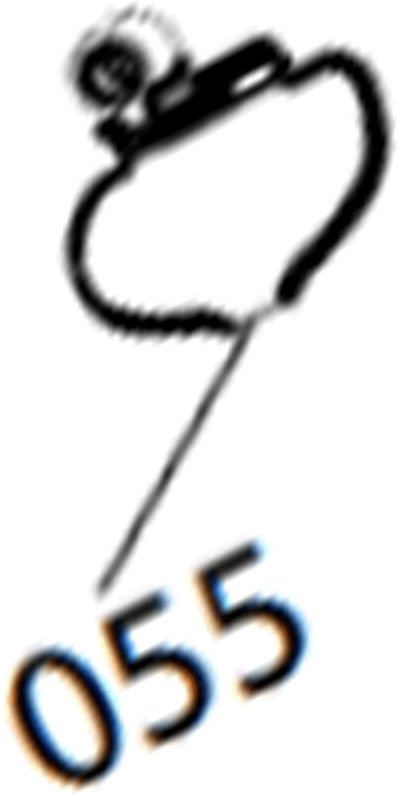 Ersatzteil - Gummitür (Kennzeichen Nr. 055) Original - - ELECTROLUX, AEG