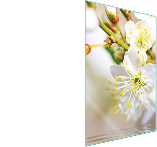 Glasschneidebrett 35x52 Pflaume