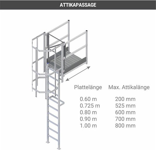Echelle Direct - Echelle crinoline palier de sortie 0.60m - h. à franchir 4.70 à 5.00m - CS50-CPSH-060