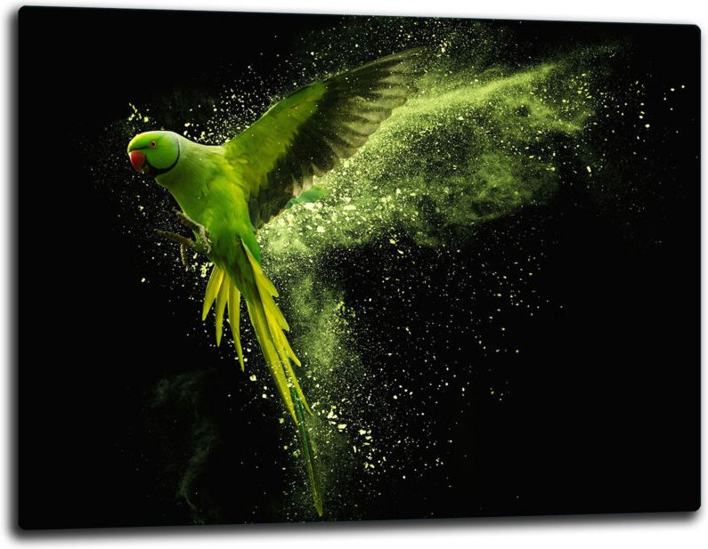 Glashakkungsbrett 52x40 papagei