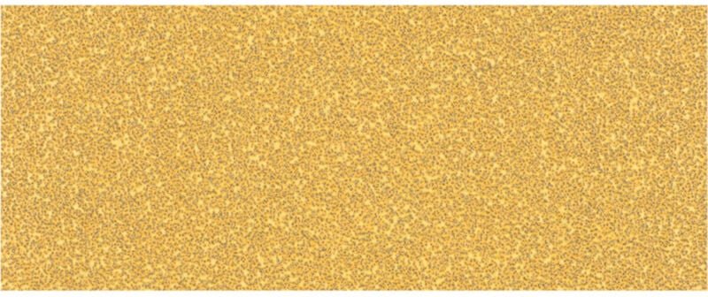 Professional Expert C470 Schleifpapier ohne Löcher für Schwingschleifer, 93 x 230 mm, g 40, 10-tlg. (2608900840) - Bosch