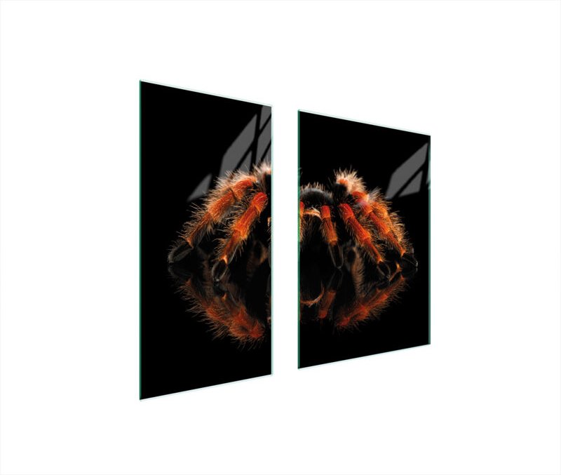 GLASSCHUTZPLATTE BOARD 75x52 SPIDER