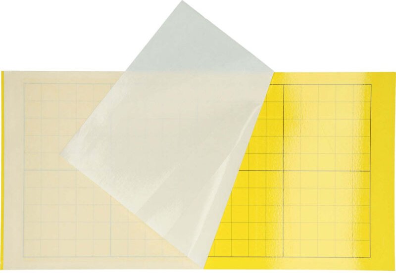 Klebeplatte insectron 200300 pro 6 stuck