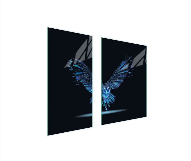 GLASSCHUTZPLATTE BOARD 75x52 BIRD