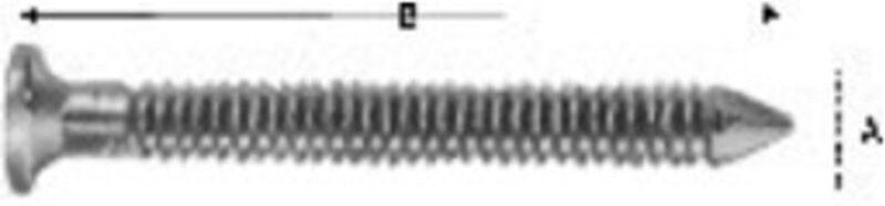 Simpson Strong Tie - Simpson Kammnagel cna 4.0x50 A4 250/Box