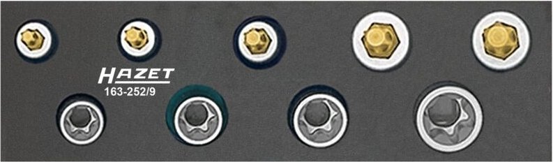 Werkzeug-Satz, torx® 163-252/9 Vierkant hohl 10 mm (3/8 Zoll) Außen to - Hazet