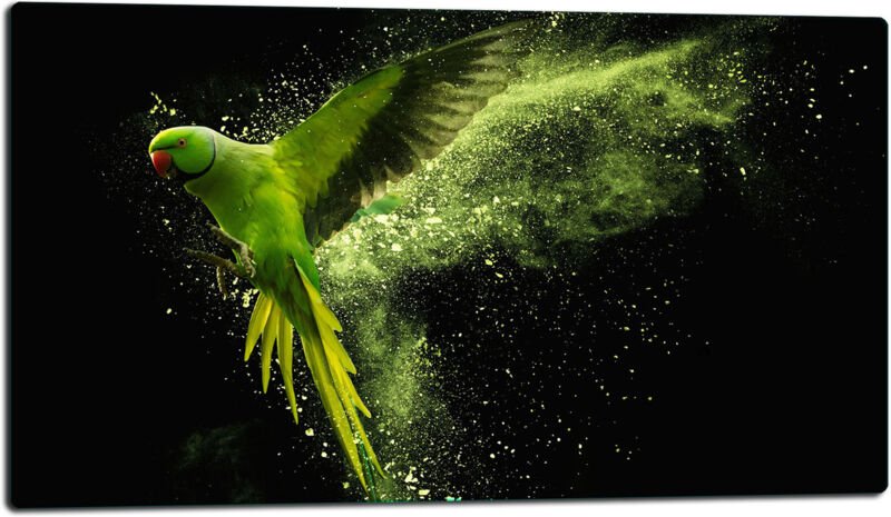 Glashakkungsbrett 52x30 papagei