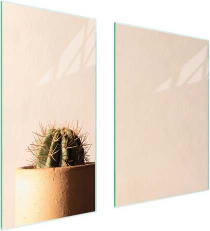 GLASSCHUTZPLATTE 75x52 CACTUS