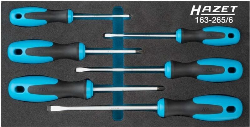 Hazet Werkzeugmodul 163-265/6 6-teilig ( 4000871196 )