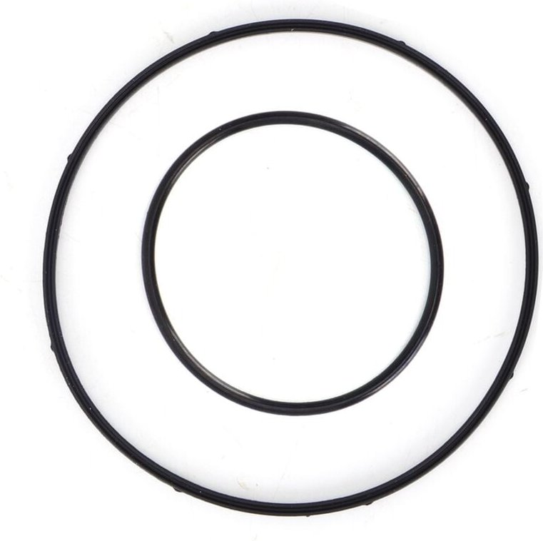 Zoternen - Vakuumpumpendichtung, langlebige Hitzebeständigkeit 11667509080 Ersatz für 7er E65 E66 2002-2008 Auto