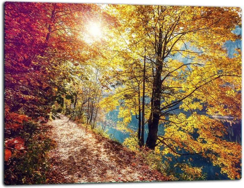 GlassplattenschneideBrett 52x40 Landschacht