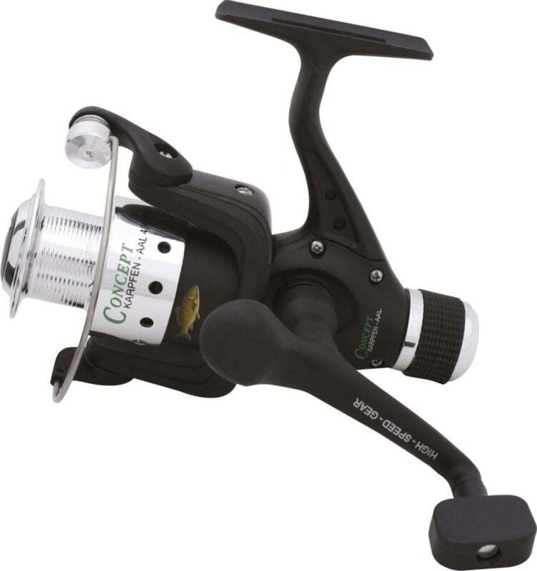 4000 rd Karper Aal Gewicht 250 g Angelzubehör - Concept