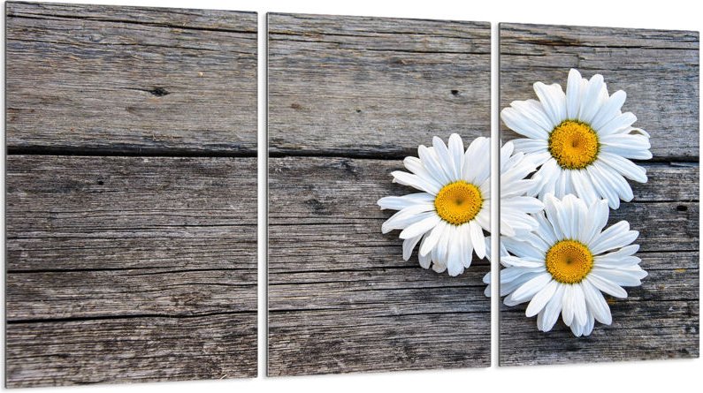 Glasschutzplatte für Herd 3x30x52