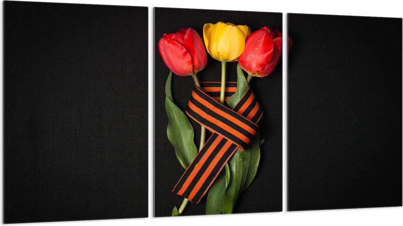 Glasschutzplatte für Herd 3x30x52