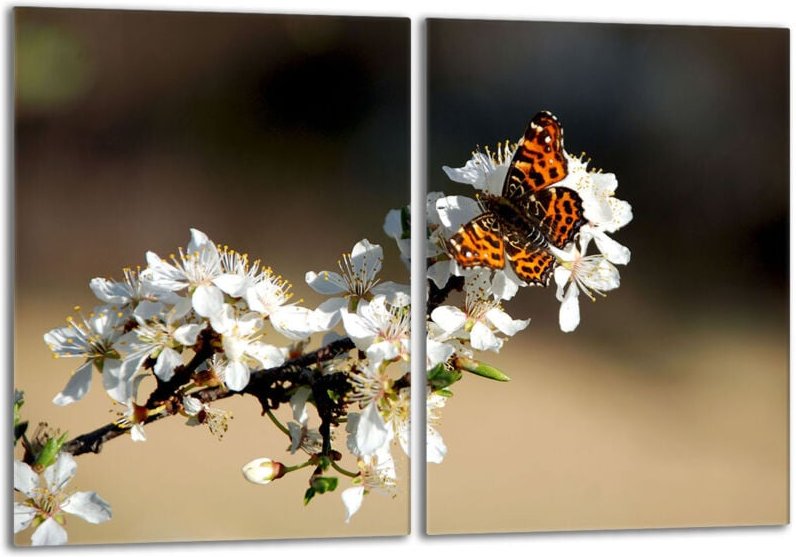 Glasschutzplatte für den Herd 2x40x52 Pflaume