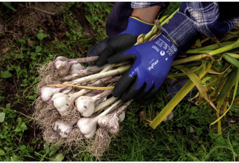 HyFlex® 11925100 Nylon, Spandex® Arbeitshandschuh Größe (Handschuhe): 10 en 388:2016, en 420- - Ansell