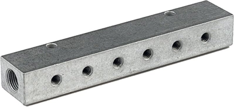 Riegler Verteilerleiste, Abgänge einseitig, Eingang 2x1/4, Ausgang 2x1/8