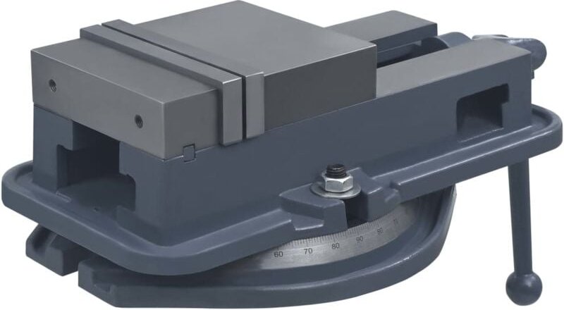Drehtisch-Schraubstock Gusseisen 160 mm vidaXL