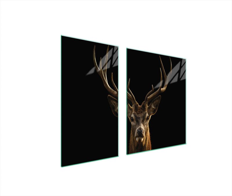 GLASSCHUTZPLATTE FÜR HERD 90x52 HIRSCH