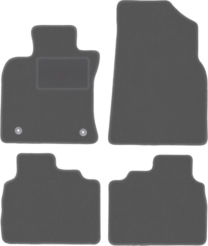 Graphit-Fußmatten für: Lexus ES VII Limousine (2017-)