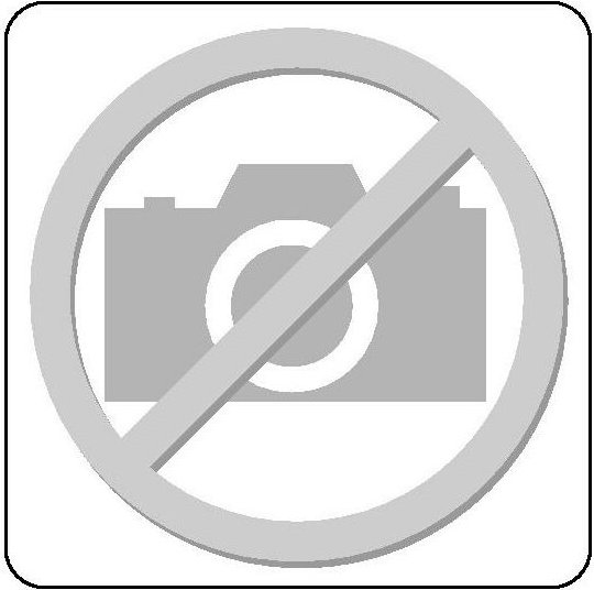 EI-1500 CT1-19IS l Check-Tool-Modul leer