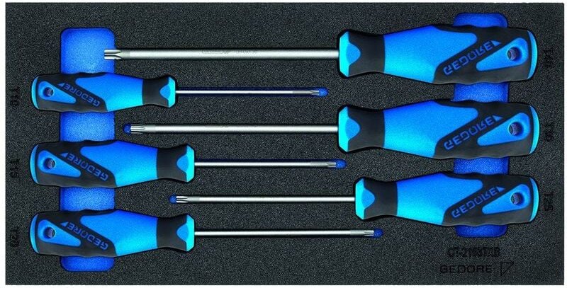 1500 CT1-2163 txb Schraubendreher in Check-Tool-Modul