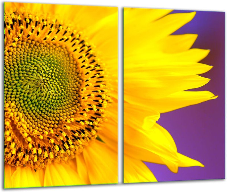 Glasscheidebrett 2x 30x52 Blume