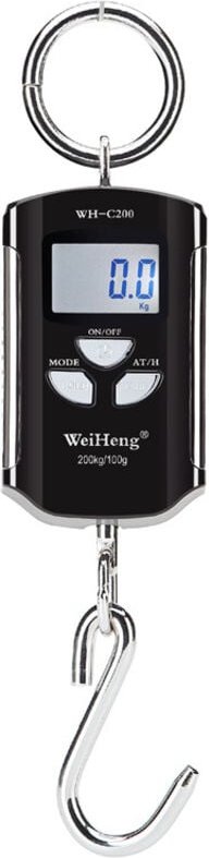 Ymyny - Tragbare elektronische Kranwaage, genauer Bereich 200 kg/100 g, silberner Rahmen