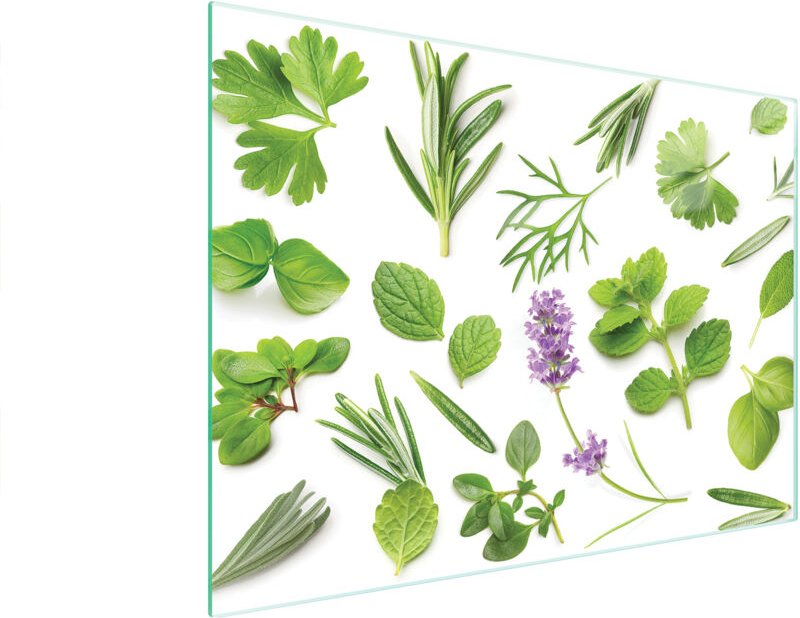 Glasschneidebrett 40x30 Pflanzen