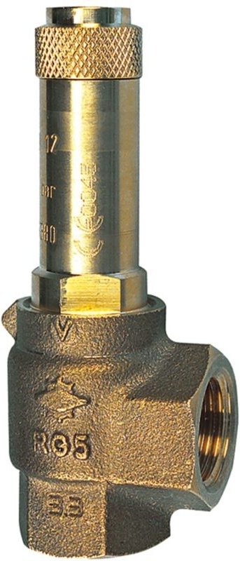 Eck-Sicherheitsventil, Sattdampf, g 1/2, Ansprechdruck 0,3 bar - Riegler