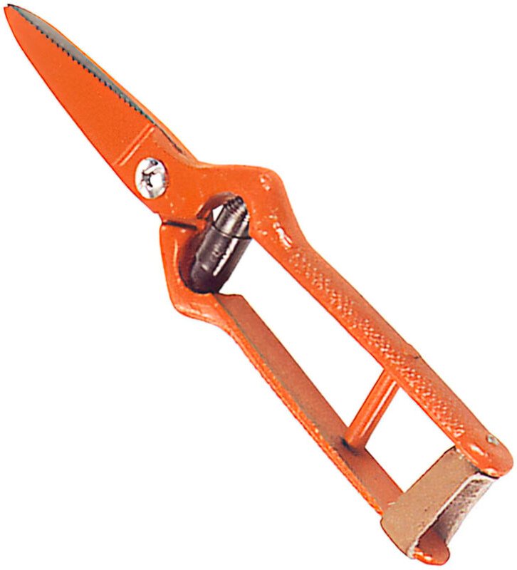 Gerade, geschmiedete Schere Wolfpack zur Traubenlese 19 cm.