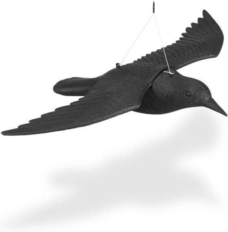 Thumbnail - Flying crow bird repellent