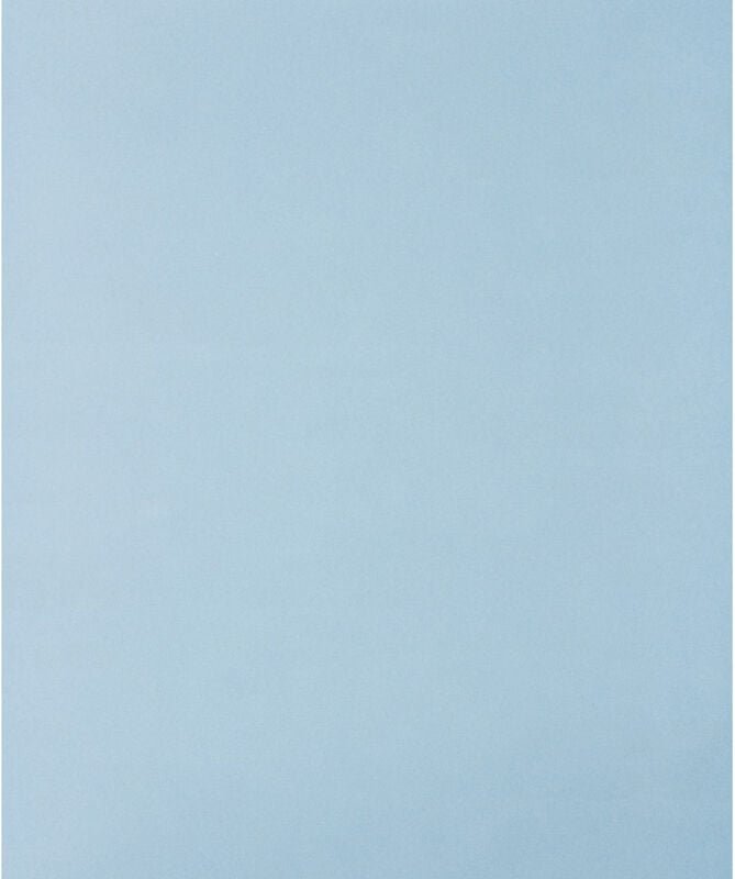 45015080 Handschleifpapier Körnung (num) 800 (l x b) 280 mm x 230 mm 50 St. - Pferd