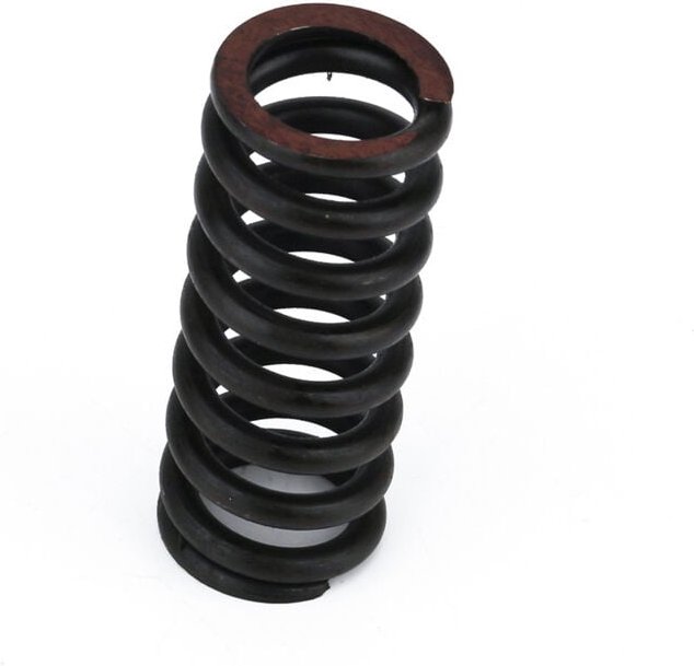 2 Stück Passend für Chevy GMC Olds 15591898 16622460 88891766 Türscharnier Feder