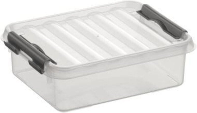 Aufbewahrungsbox 1L transparent 20 x 15 x 6 cm Boxen, Körbchen & Kisten - Sunware