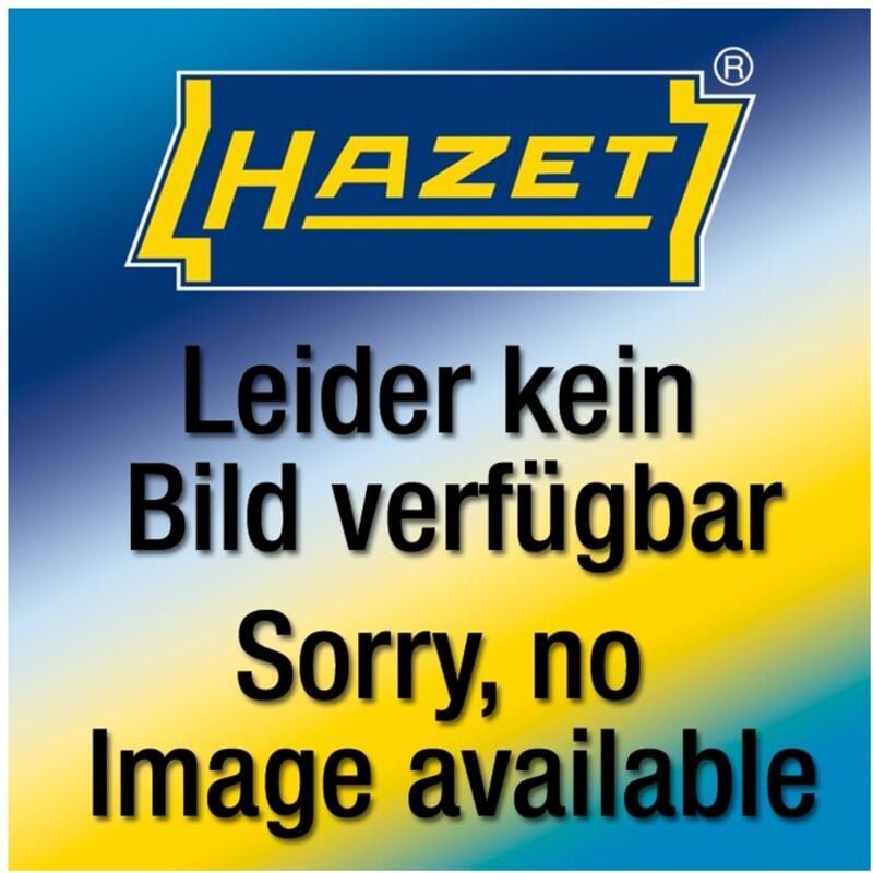 2-Komponenten Weichschaum-Einlage 163-595L, 342 mm x 172 mm - Hazet