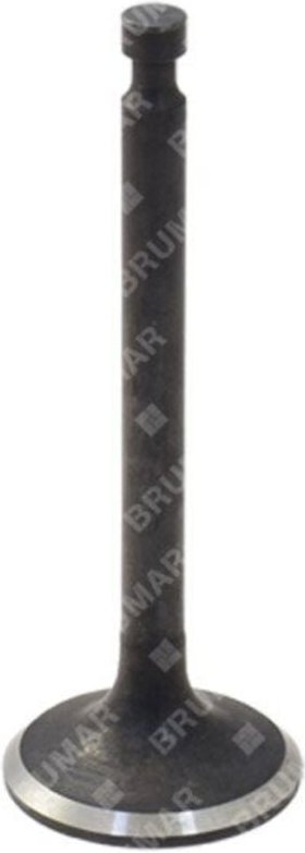 Einlassventil für DUCAR-Motorgeneratoren - 038219