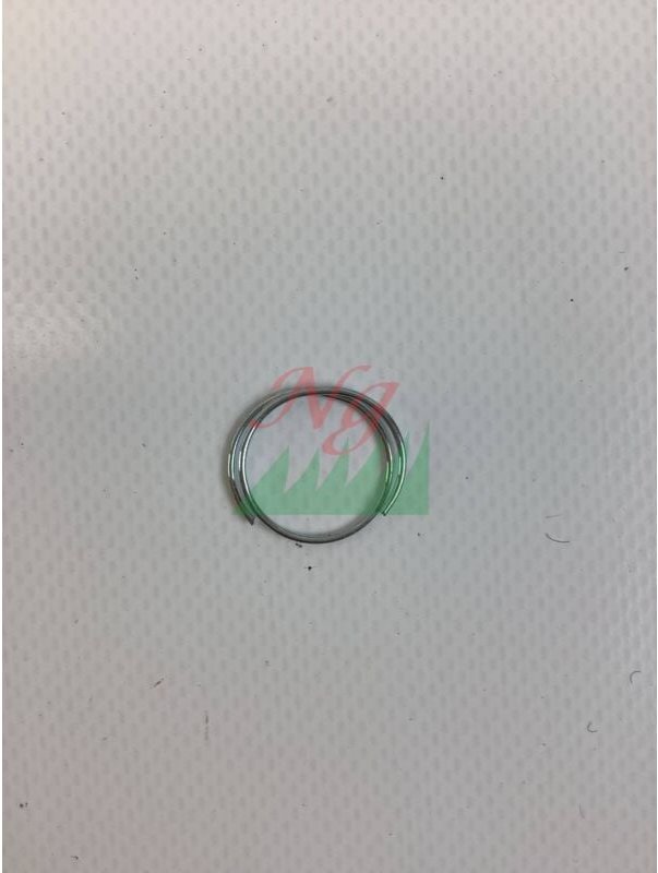 Molla ritegno parapolvere ORIGINALE GOLDONI 00020250