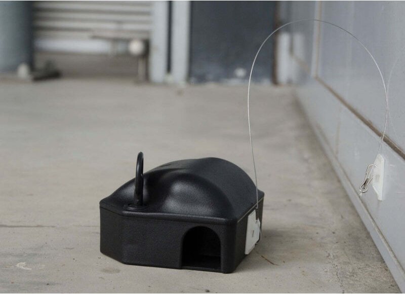 Klebeanker fur doppelseitige futterbox 25 cm haken set 10