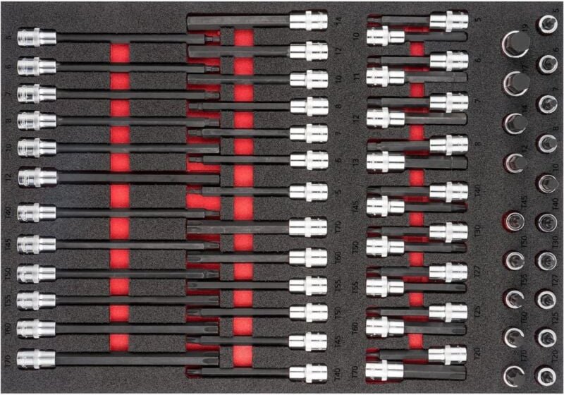 Schraubendreher-Einsatz Satz, 5 - 19, T20 - T70, Anzahl Werkzeuge: 62, in 2K Weichschaum-Einlage - Vigor