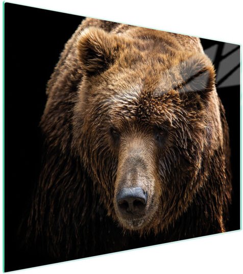 Glasschneidebrett 52x40 Teddybär