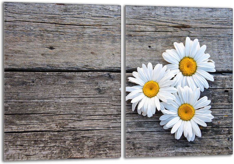 Glasschutzplatte für den Herd 2x40x52 Daisy