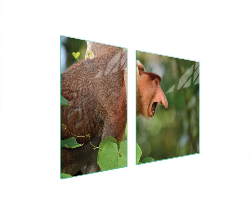 GLASPLATTE und SCHNEIDEBRETT 100x52 NOSACZ