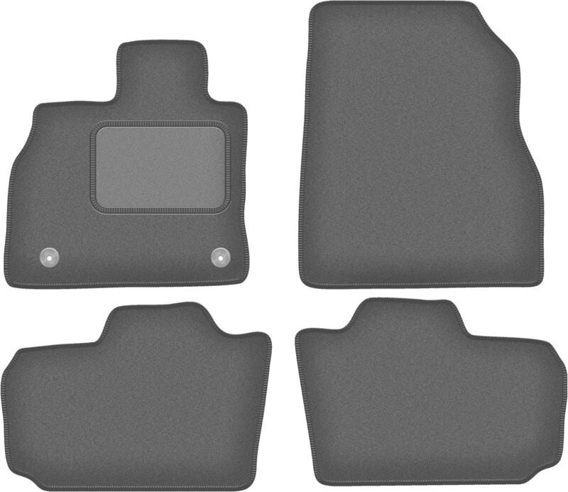 Graphit-Fußmatten für: Nissan Leaf I Schrägheck (2010-2017)